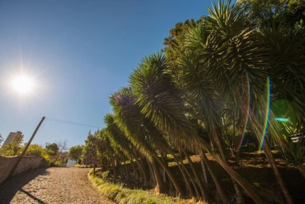 Фото Pousada Villa Dei Fiori