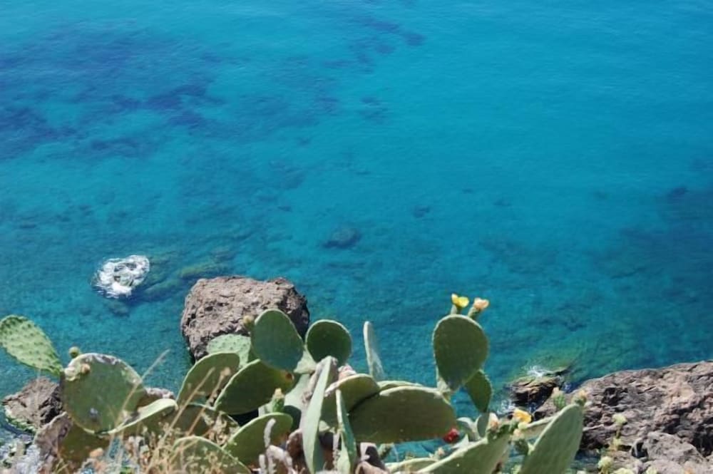 Фото Hotel Playamaro