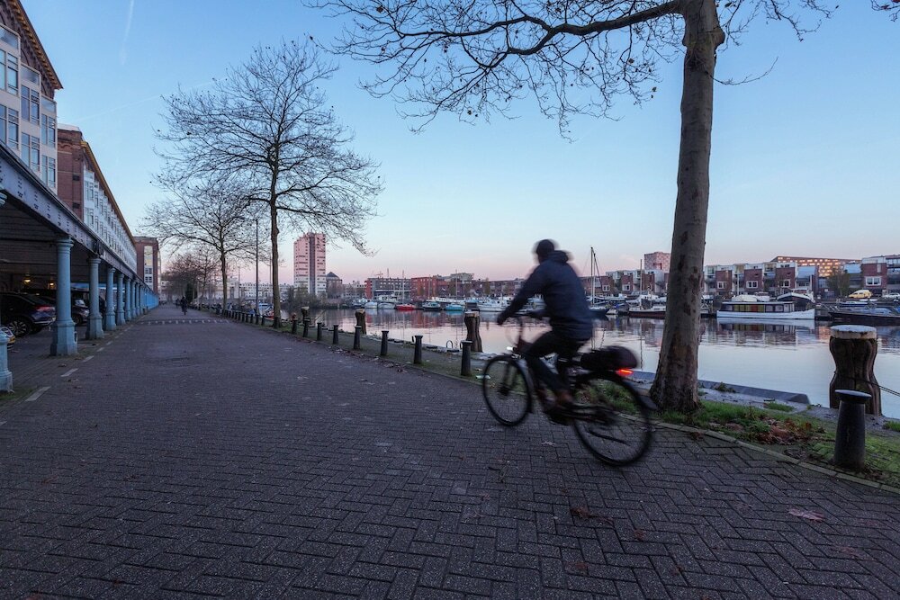 Фото The niu Fender