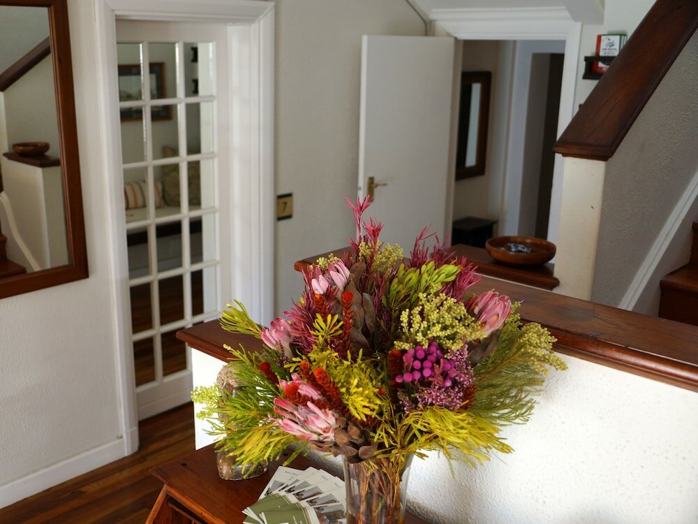 Фото Wild Olive Guest House