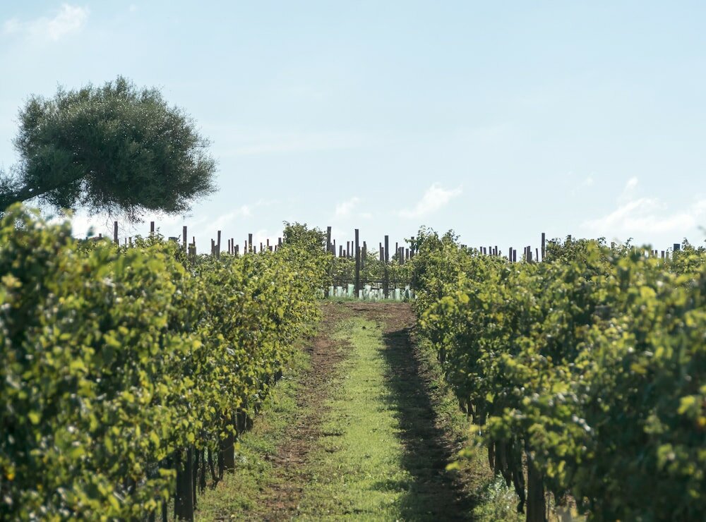 Фото Torralbenc, an SLH Hotel