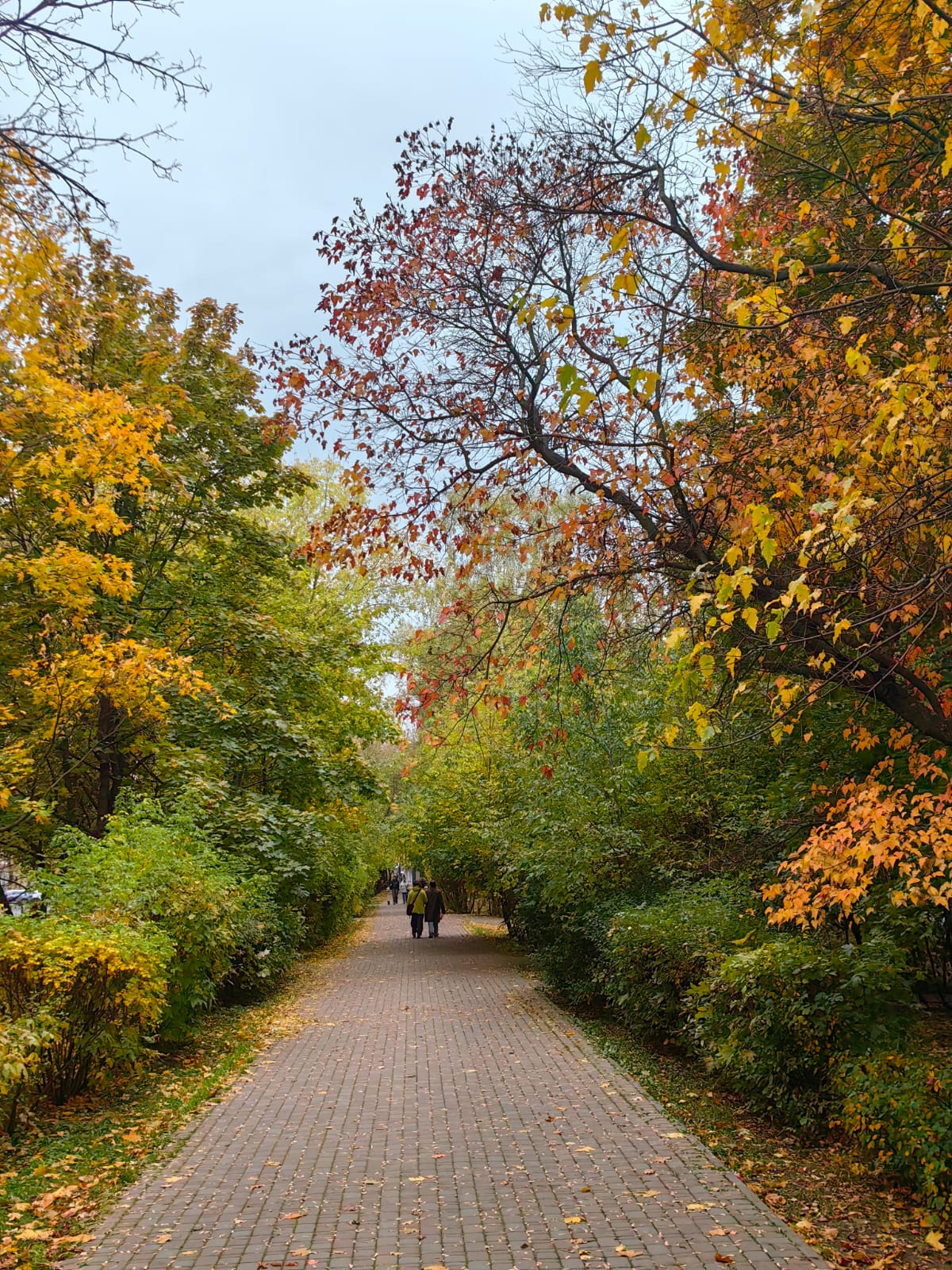 Фото Апартаменты Wow