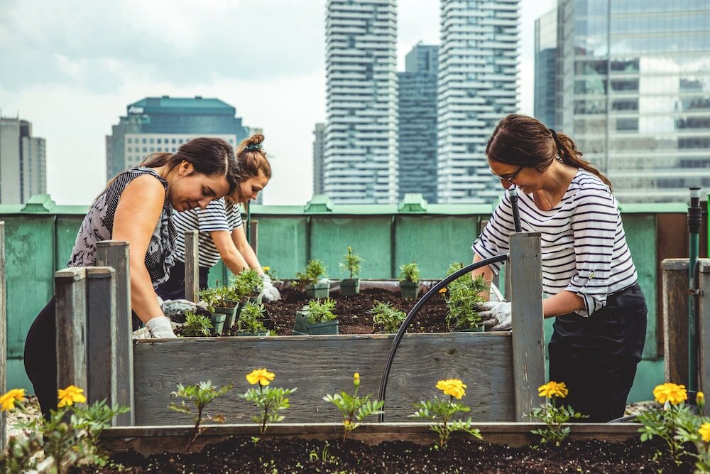 Фото Fairmont Royal York