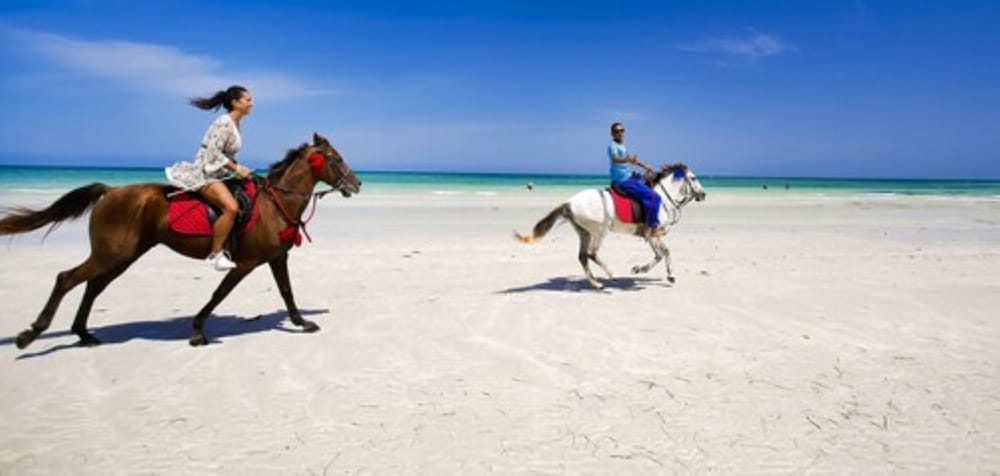 Фото Djerba Plaza Thalasso & SPA