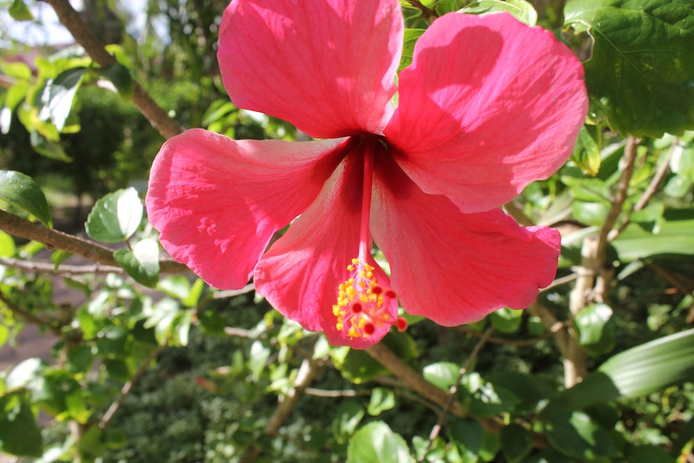 Фото D R Lanta Bay Resort 