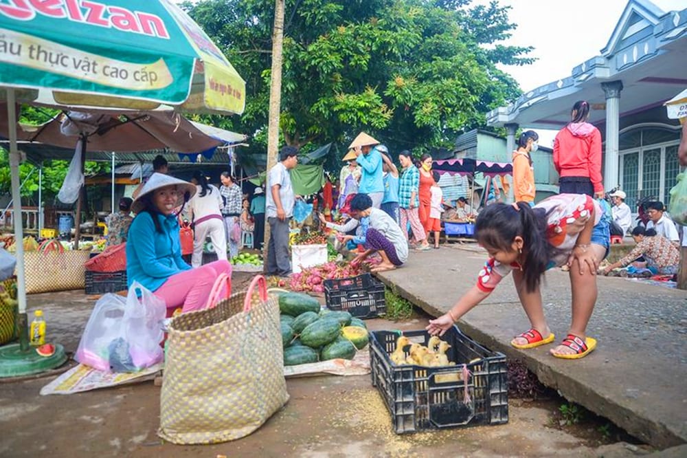 Фото The Island Lodge