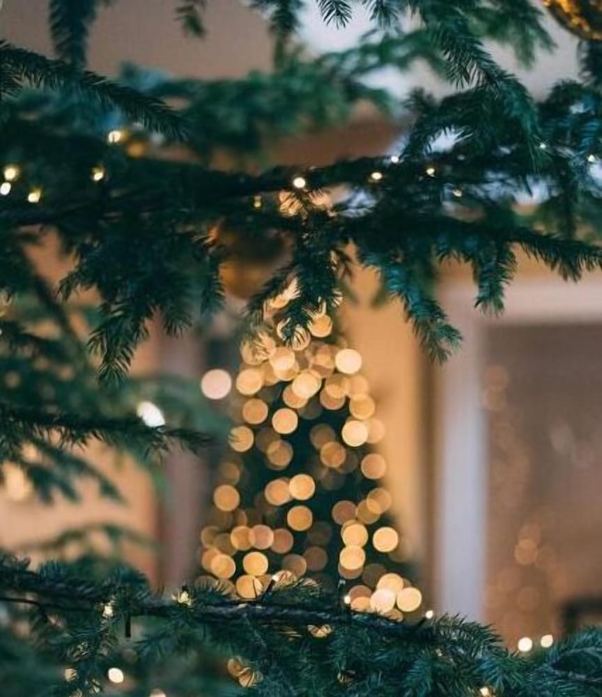 Фото Hotel Bansko