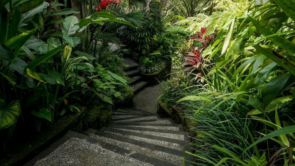 Фото Sakti Garden Resort & SPA