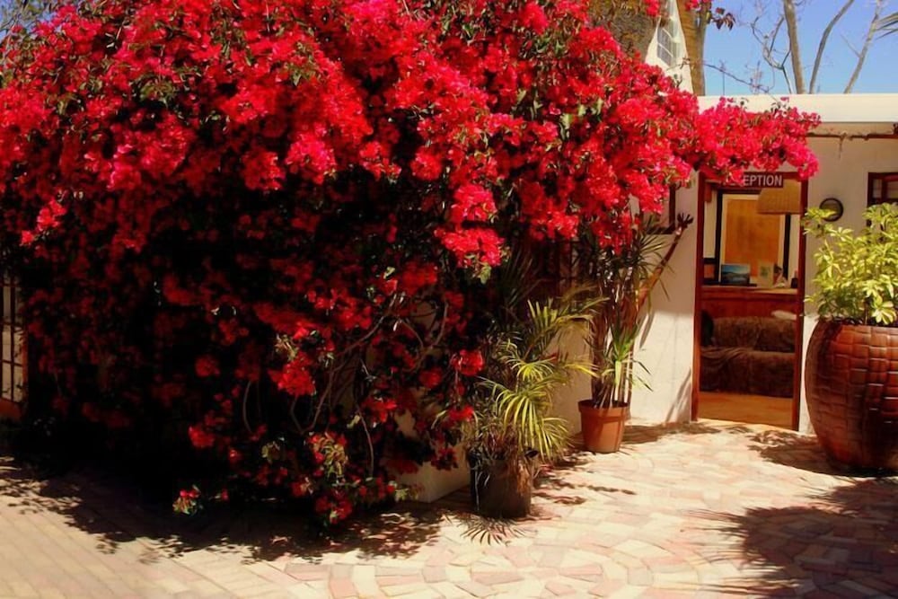 Фото French Lodge International