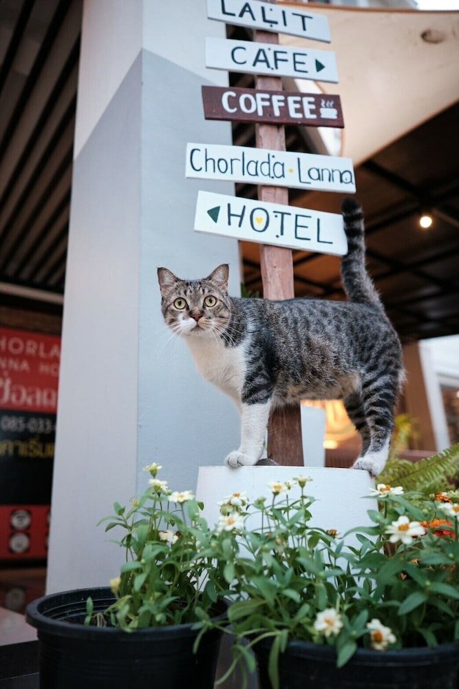 Фото Chorlada Lanna Hotel