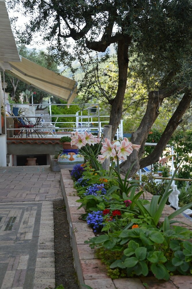 Фото Orto Paradiso