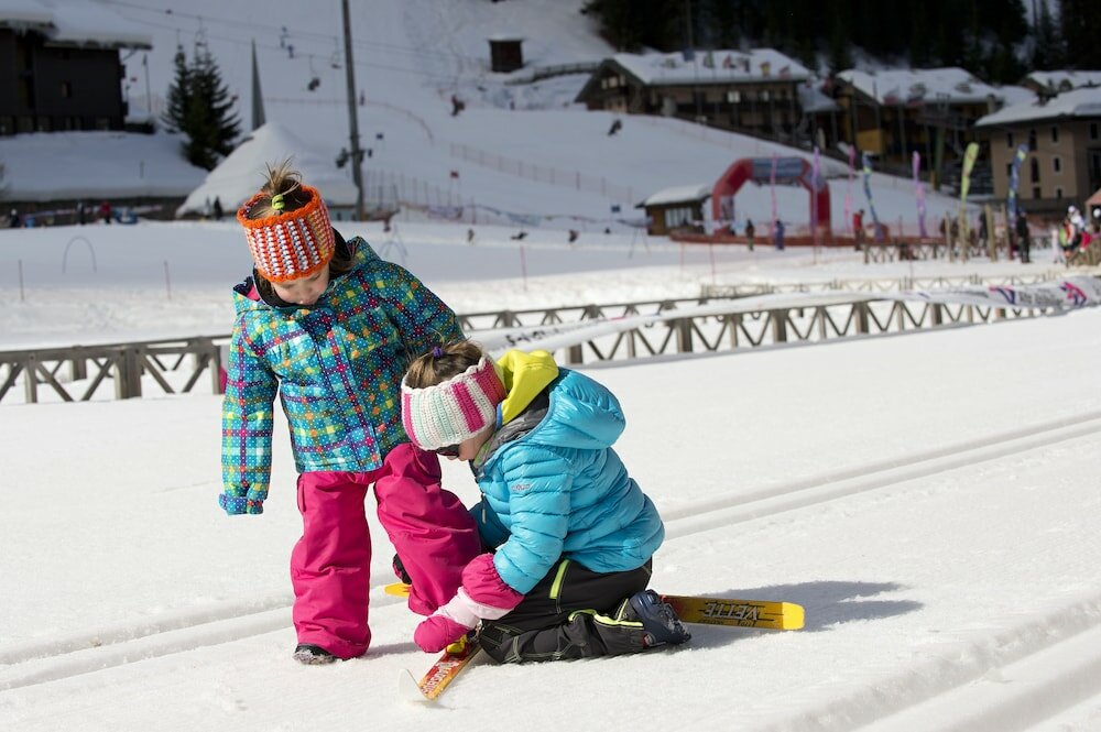 Фото Hotel Vedig