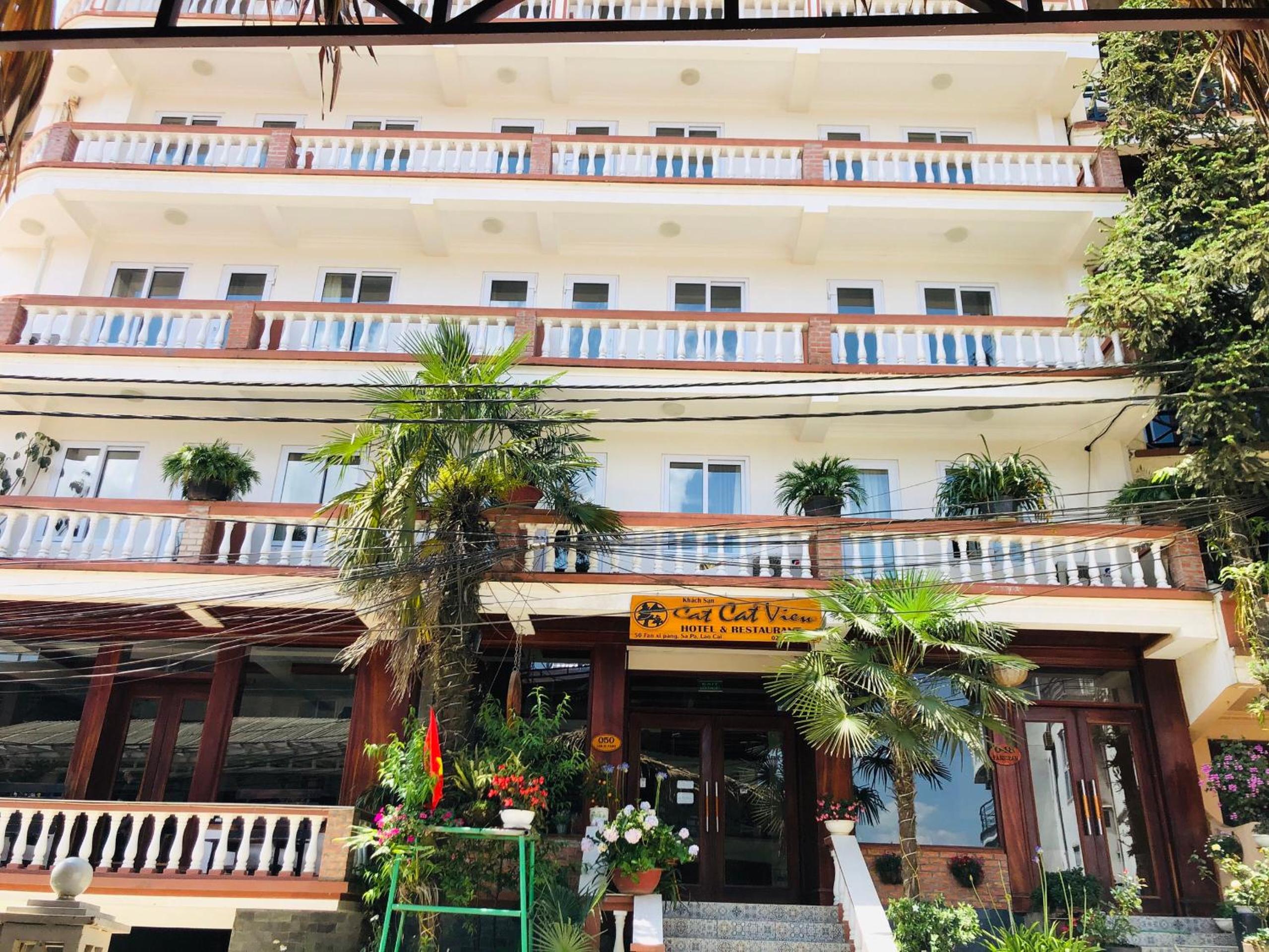 Фото Cat Cat View