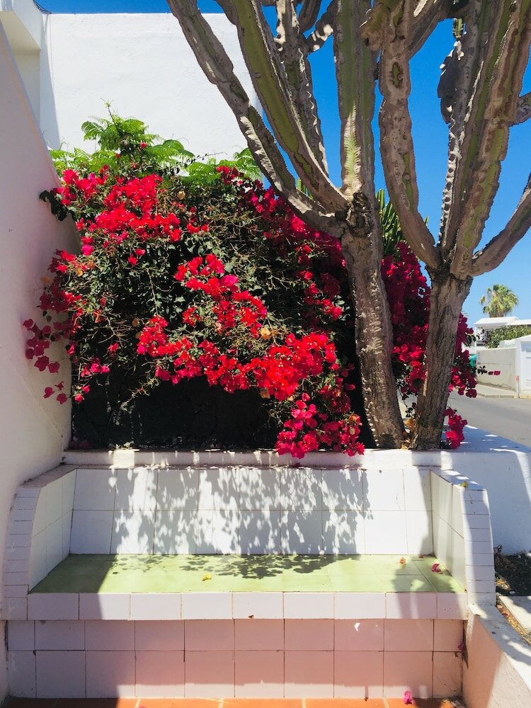 Фото Apartamentos Maribel