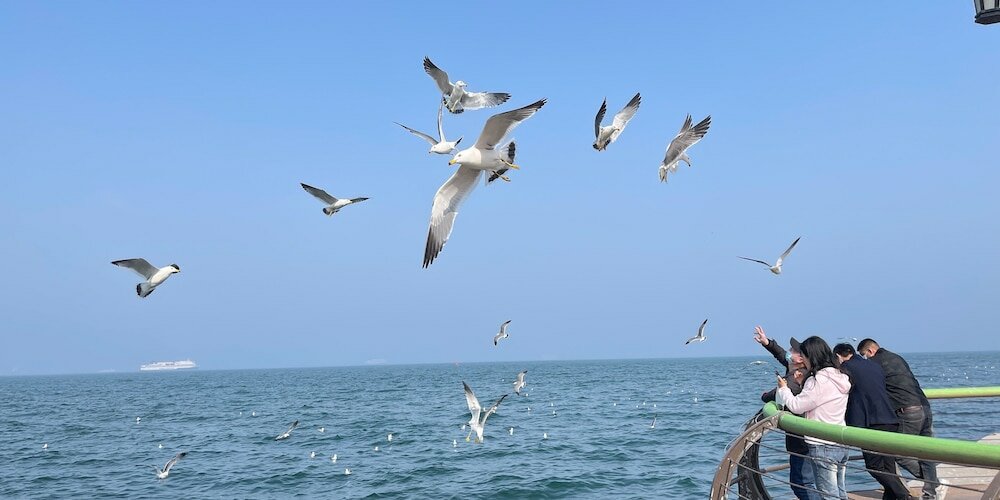 Фото Crowne Plaza Dalian Sports Center, an Ihg Hotel