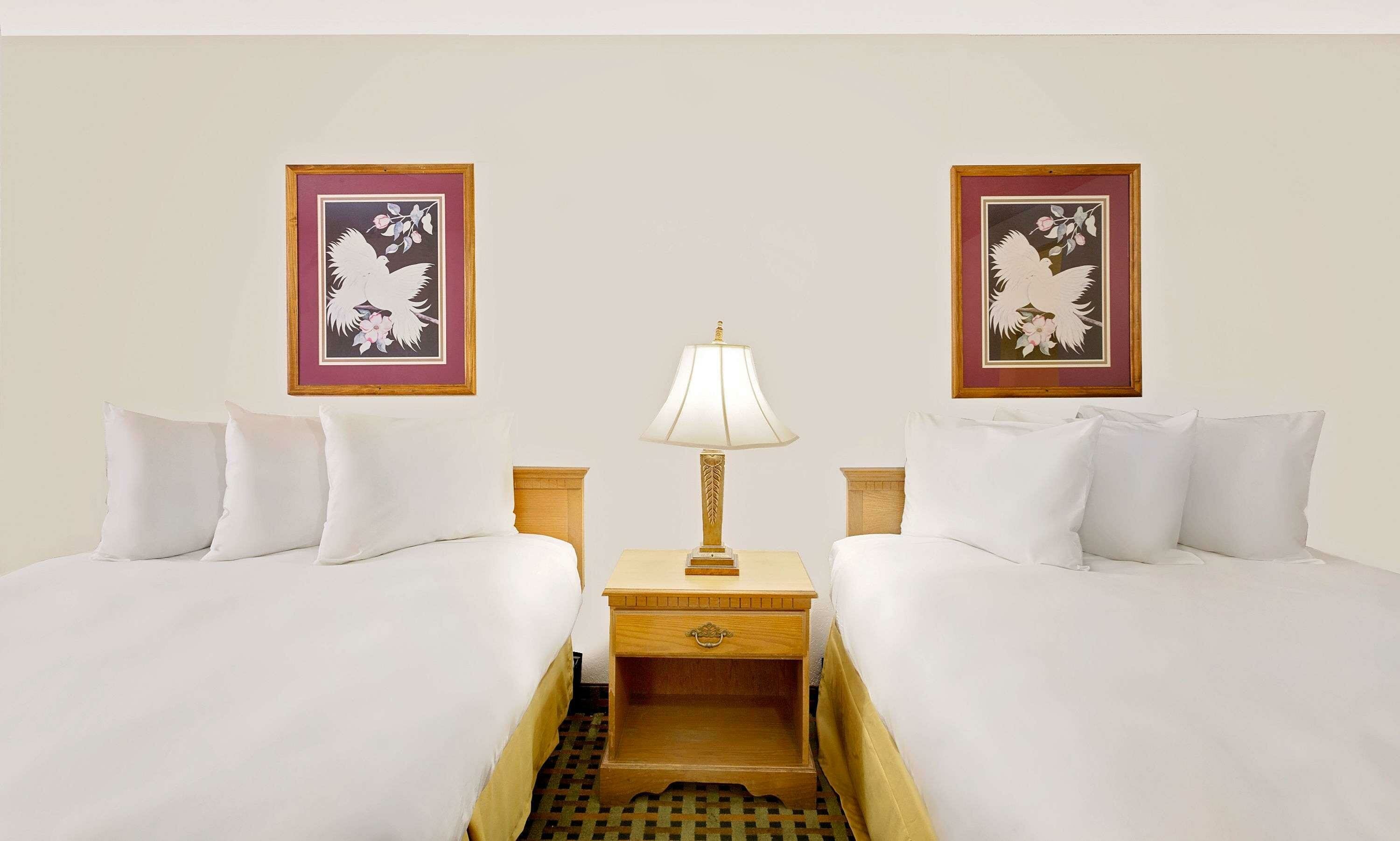 Фото Silver Queen Inn