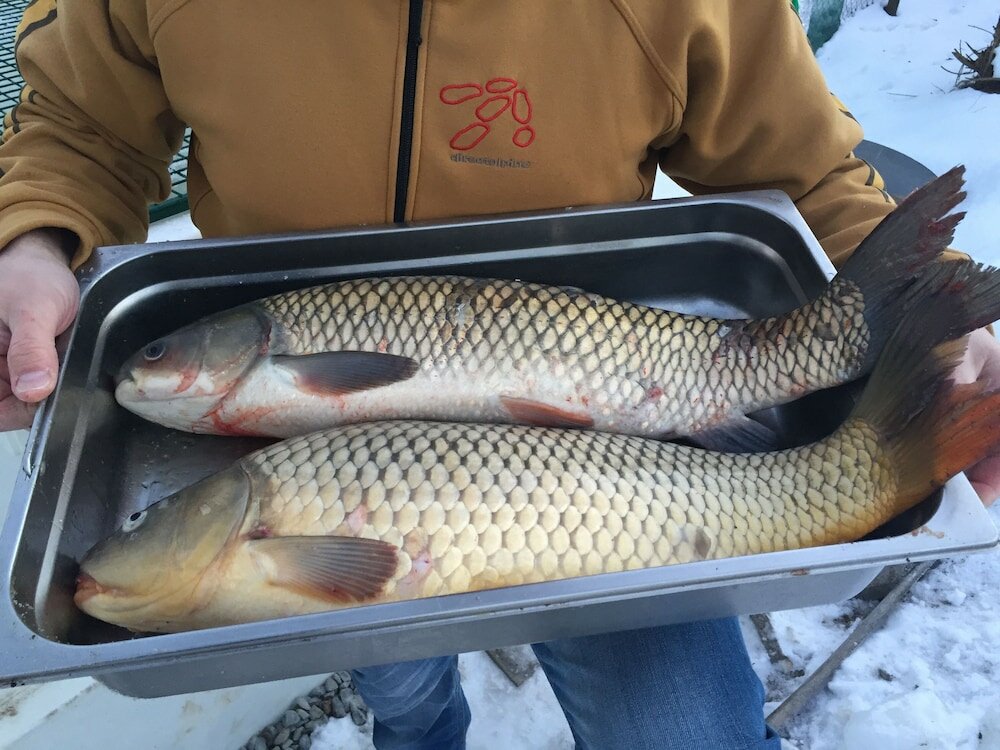 Фото Hotel Atrium