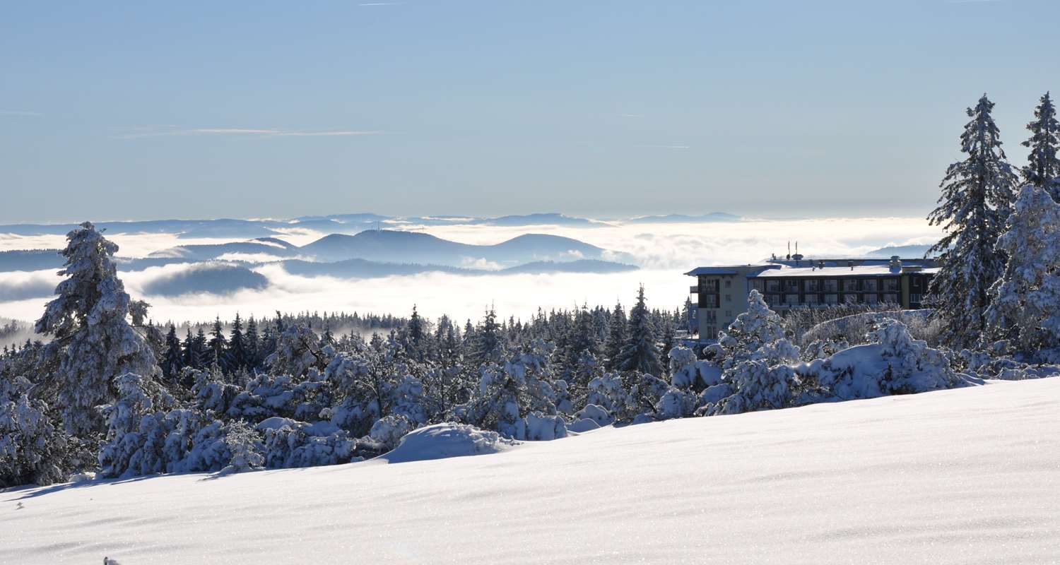 Фото Wellness- & Nationalpark Hotel Schliffkopf