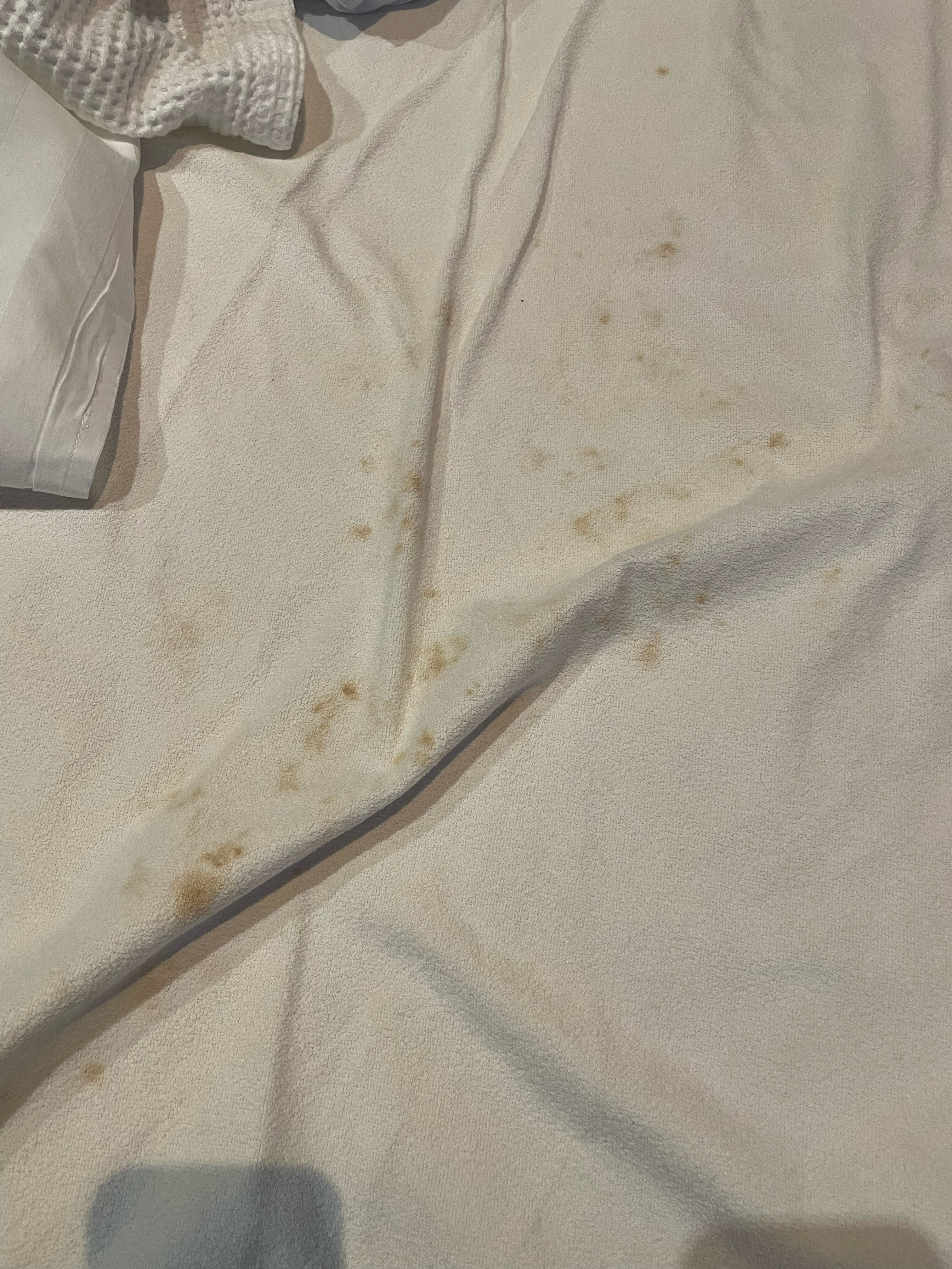 Фото Флоринн