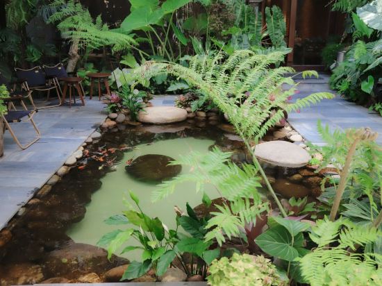 Фото K House vs apartment