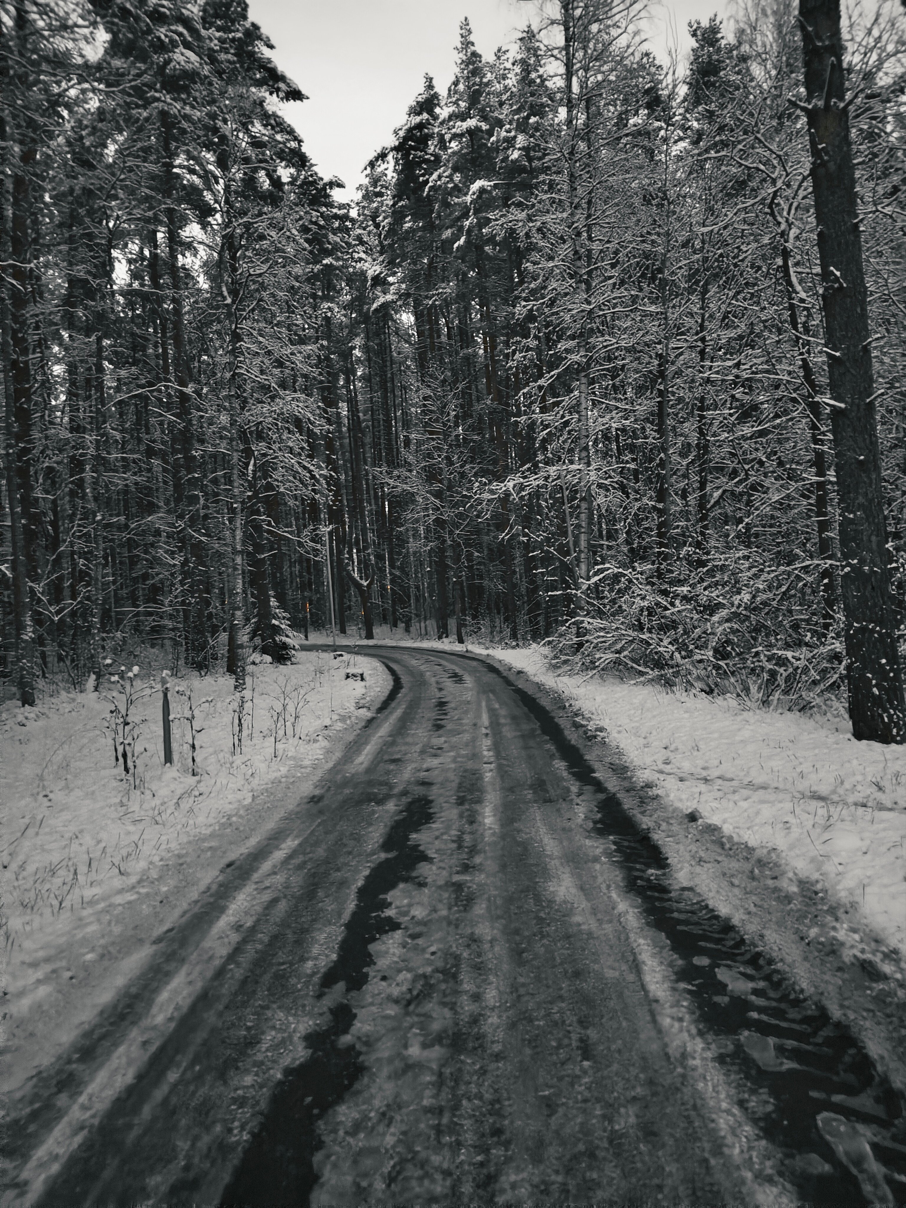 Фото Театральный