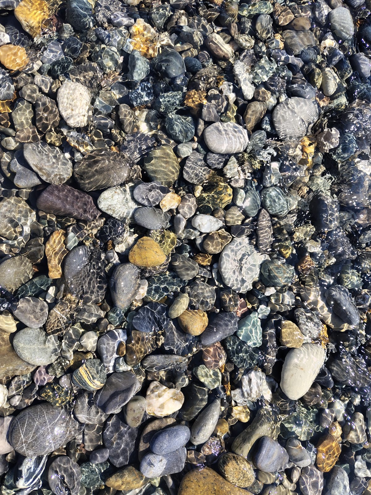 Фото Пани София