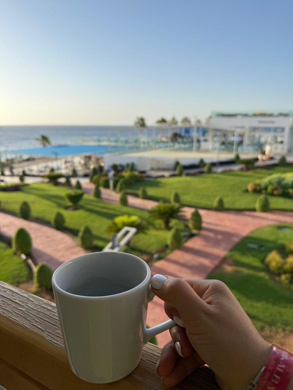 Фото Pickalbatros Palace Resort