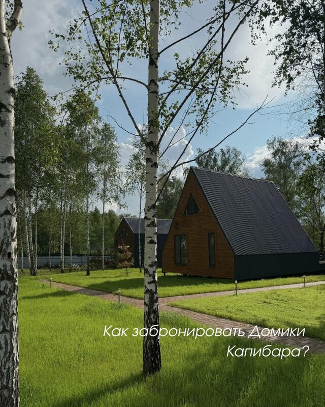 Домики Капибара — фото 36