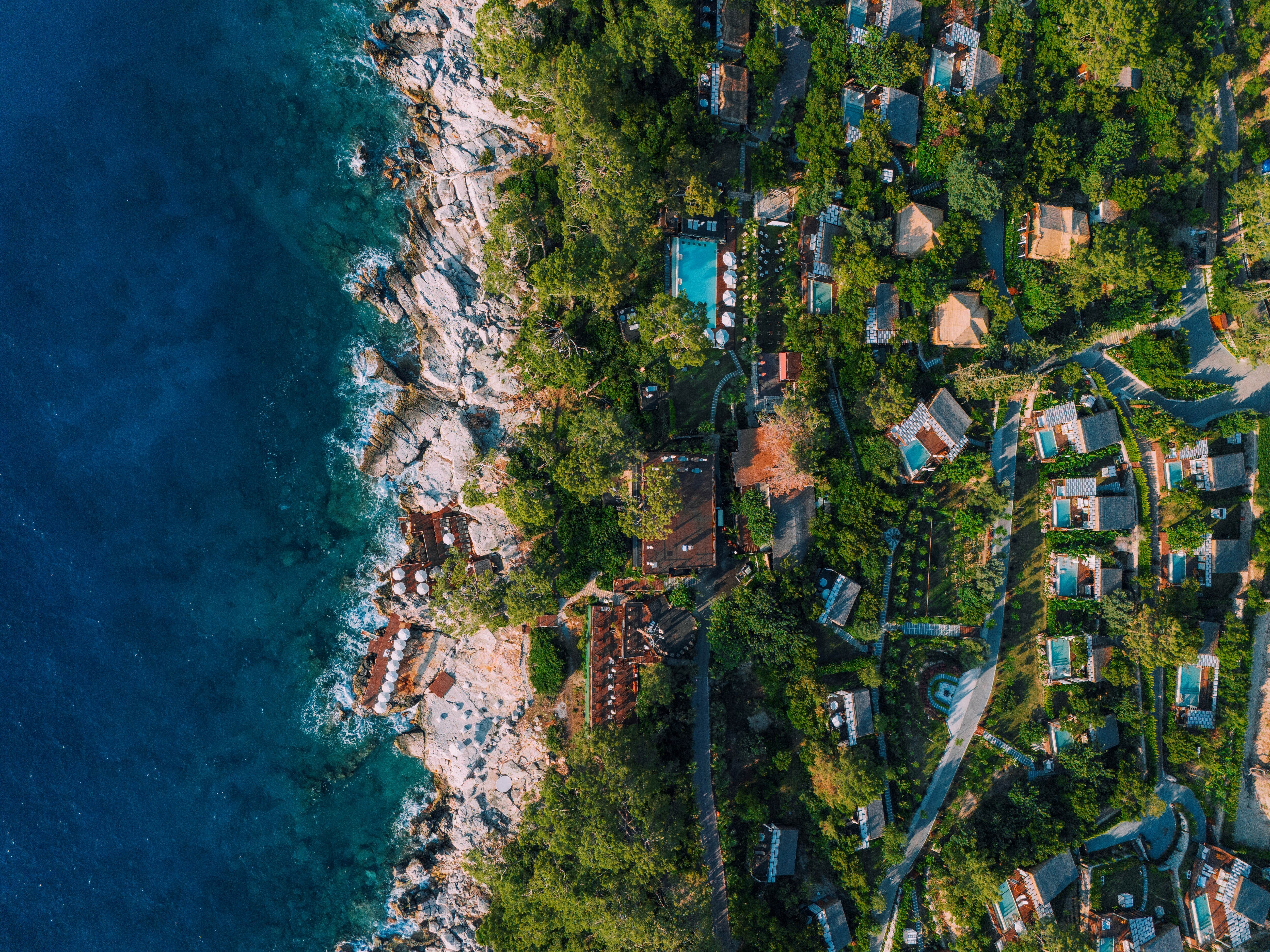 Фото Lov Faralya