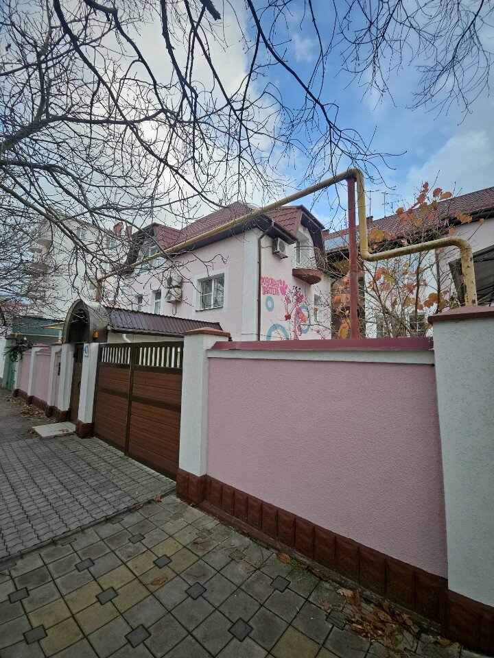 Фото Розовая Пантера