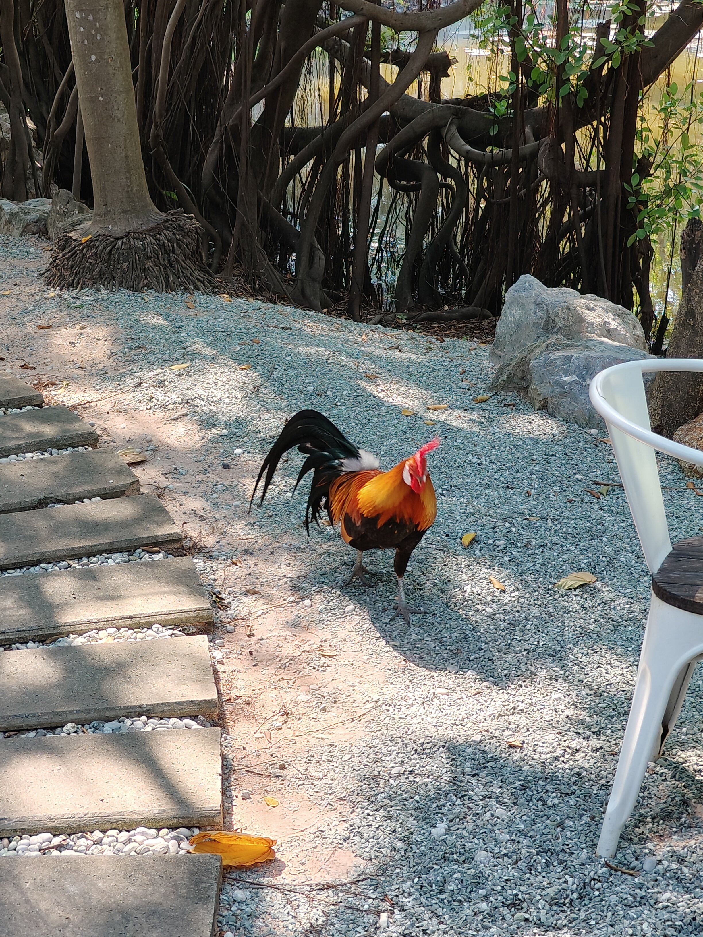 Фото The Leela Resort & SPA Pattaya