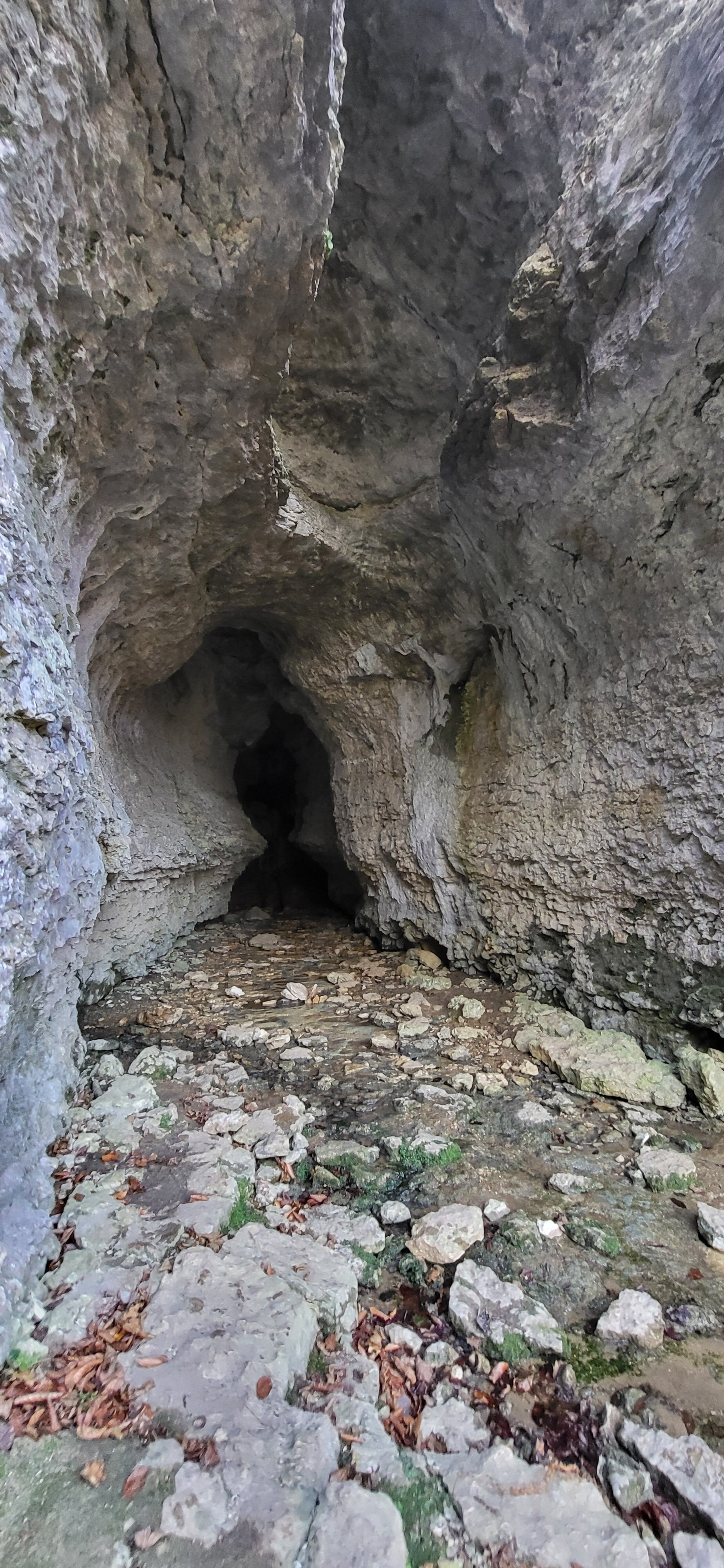 Фото Семейные коттеджи