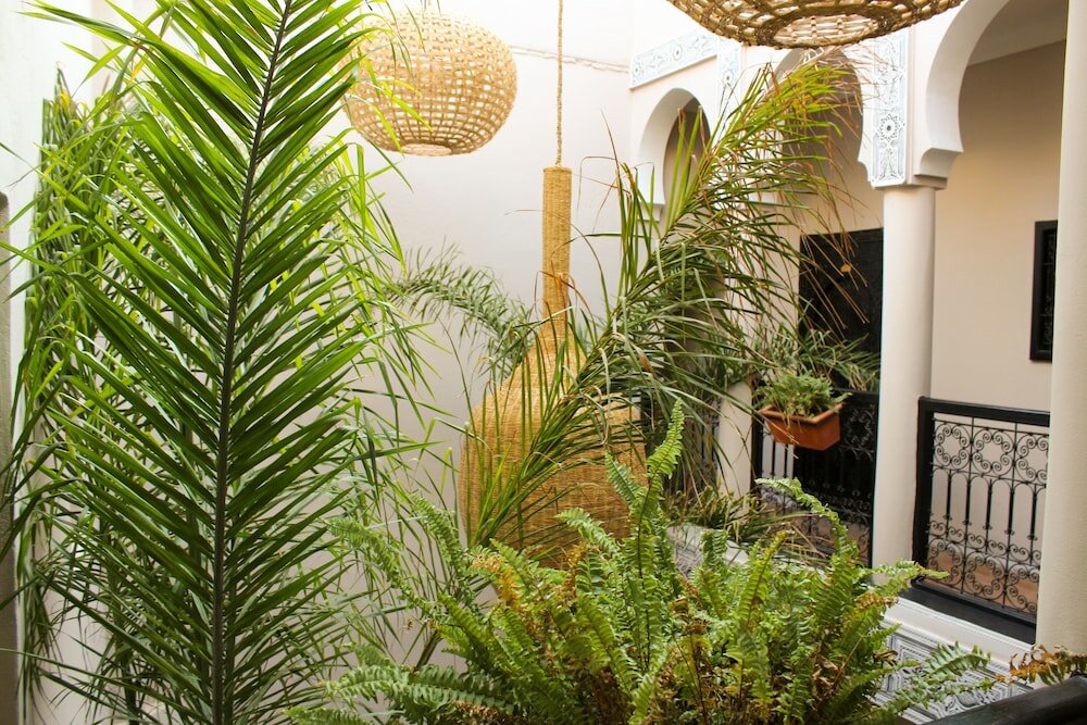 Фото Riad Amra