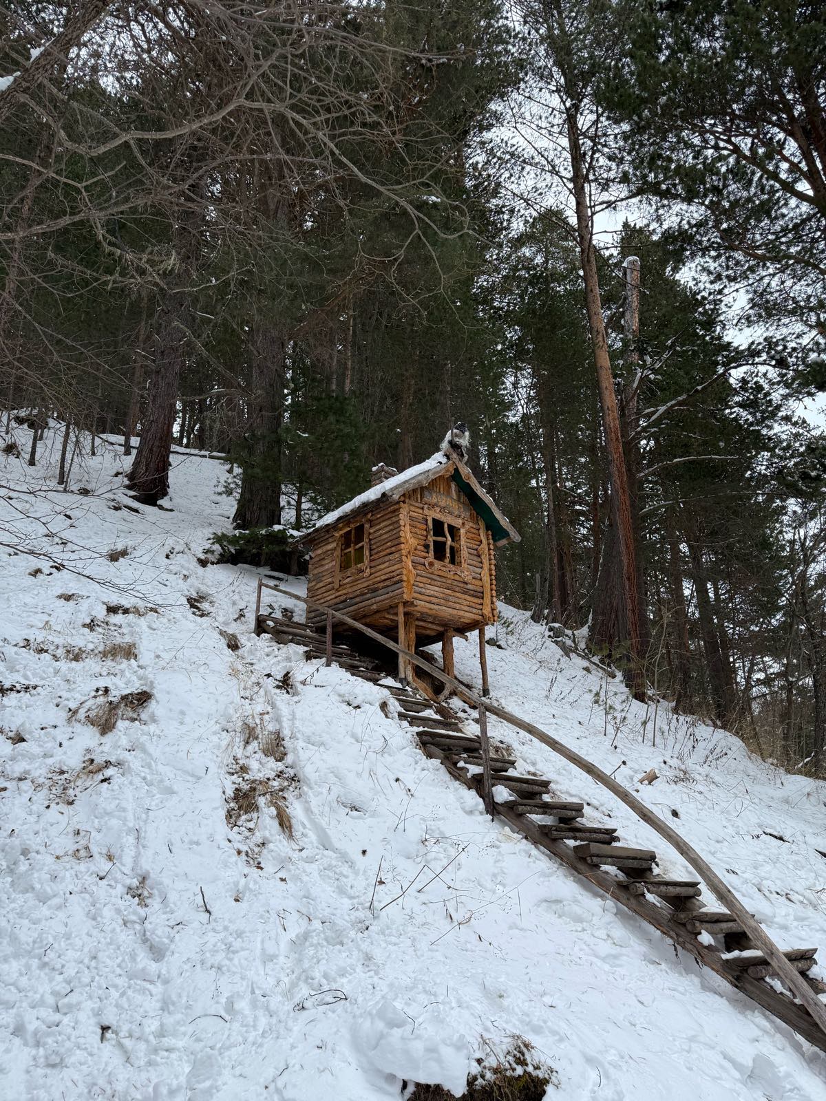 Фото Къуанч