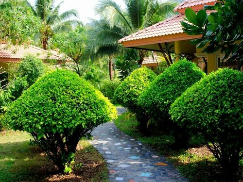 Гостиница Koh Chang Paradise Resort & SPA в Ко Чанге