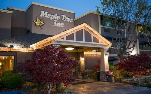 Гостиница Maple Tree Inn в Саннивейле