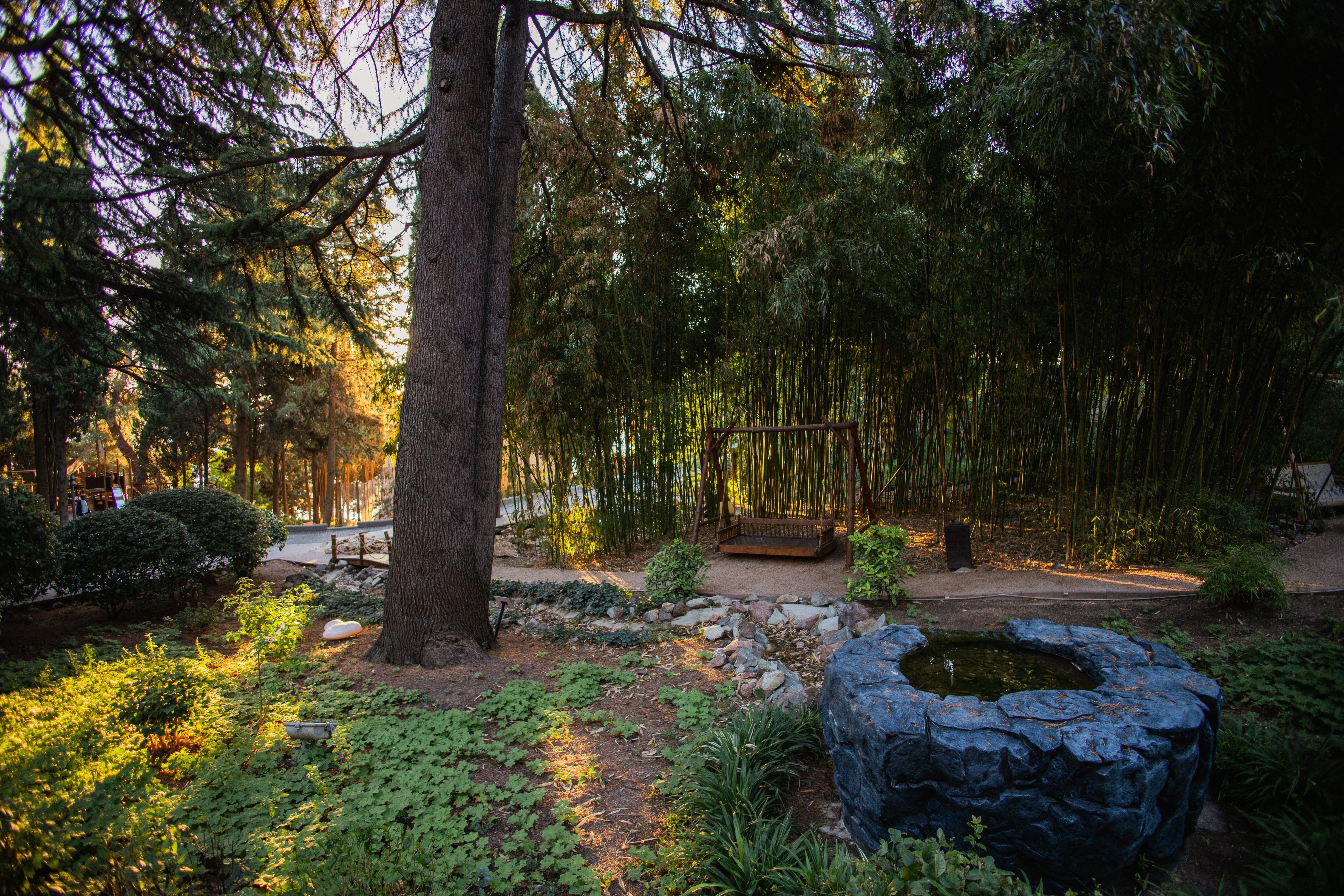 Фото More Spa & Resort