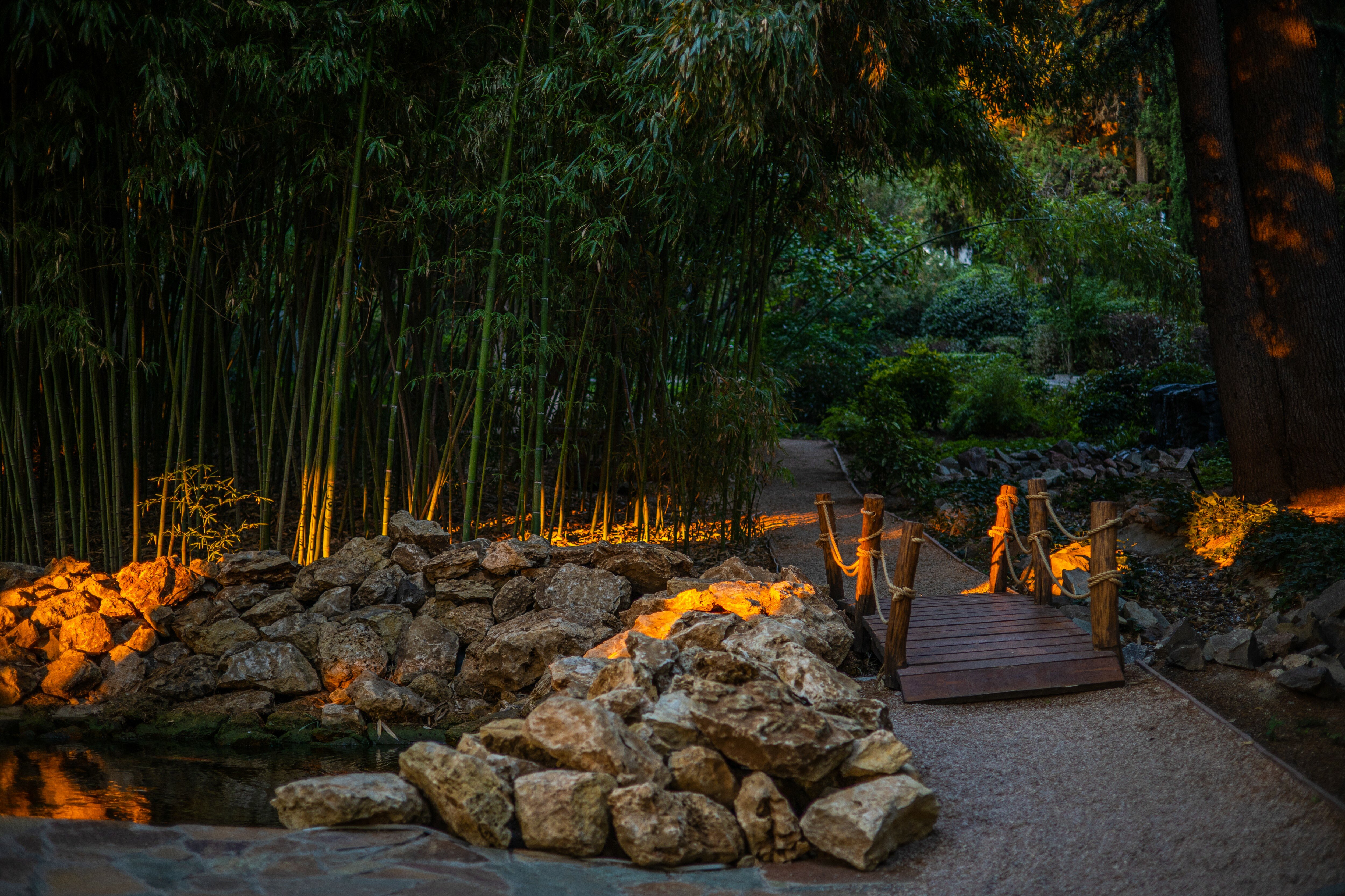 Фото More Spa & Resort