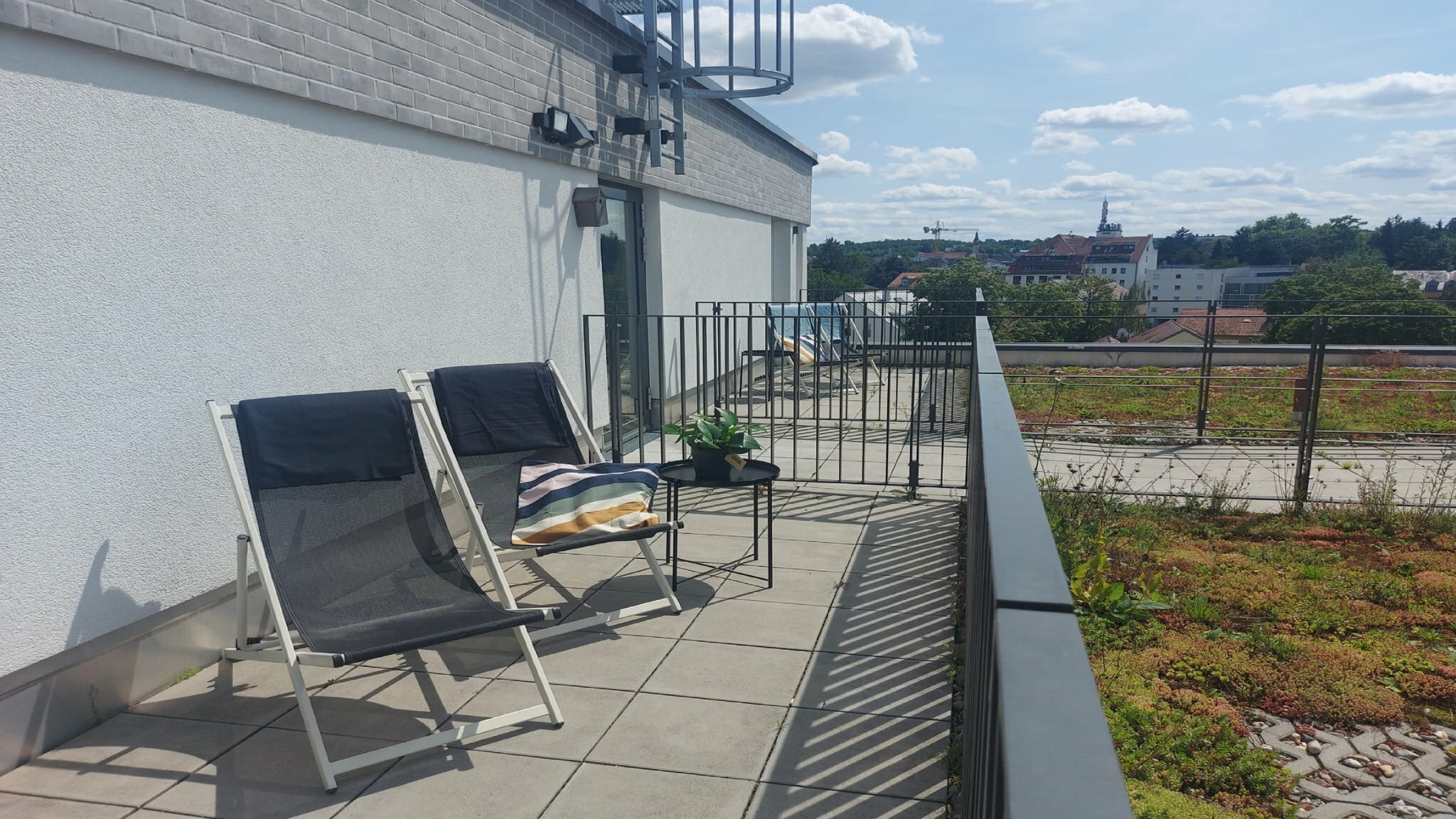 Фото The niu Sparrow