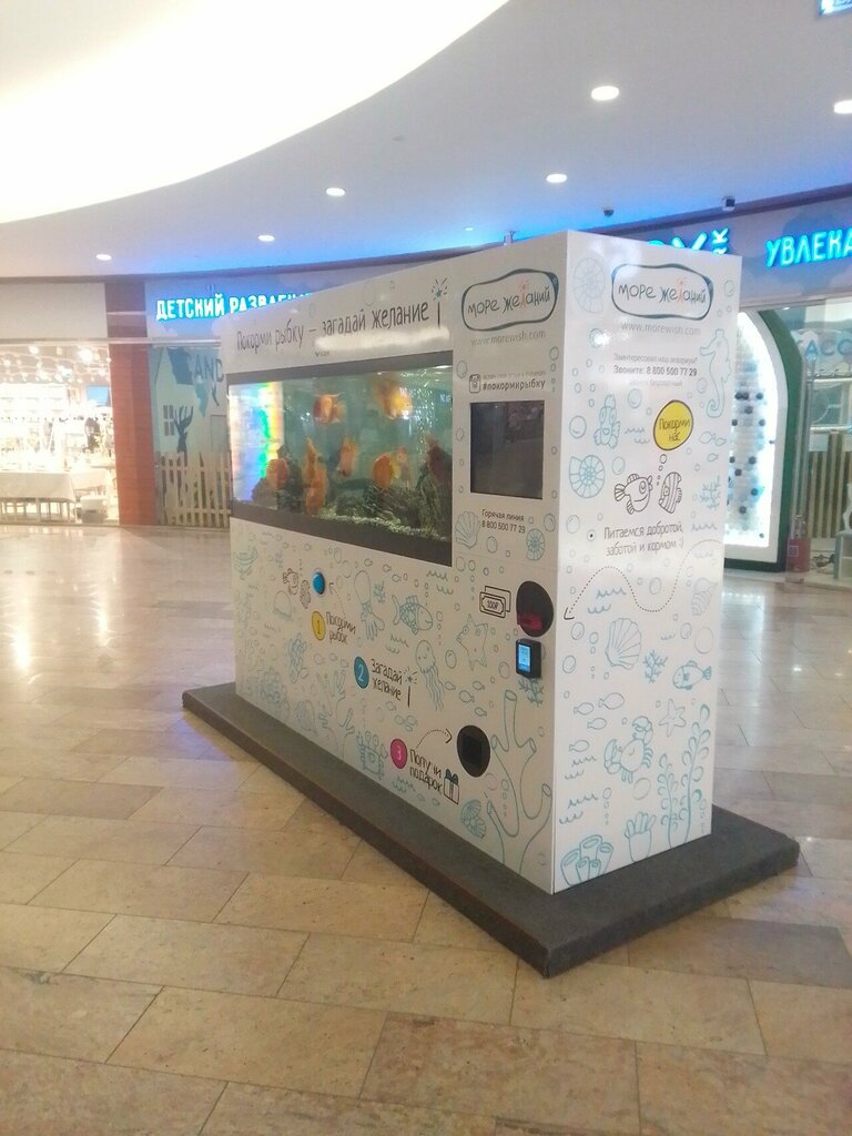 Amusement ride Покорми рыбку, Vladimir, photo