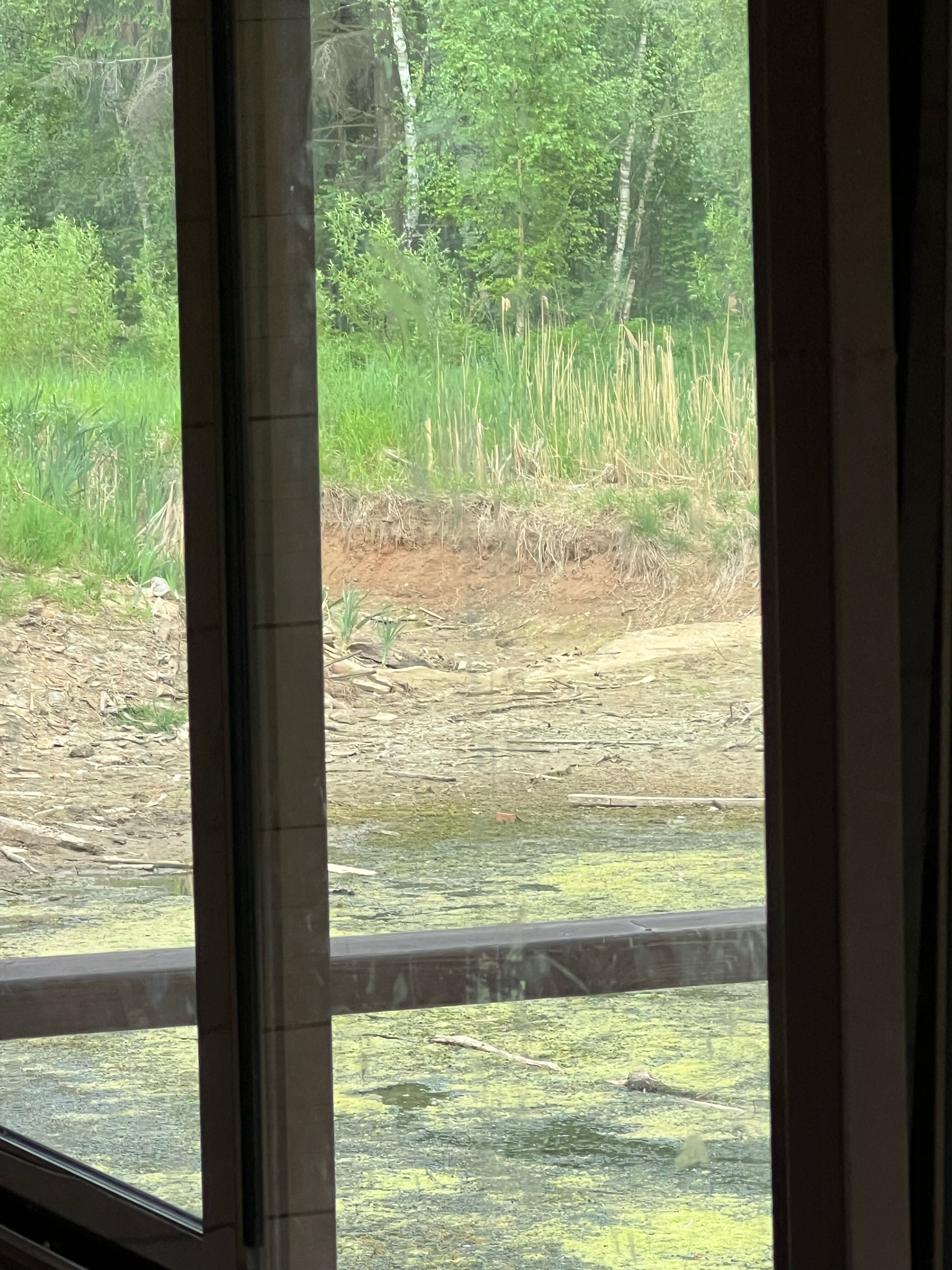 Фото Дрожжино парк