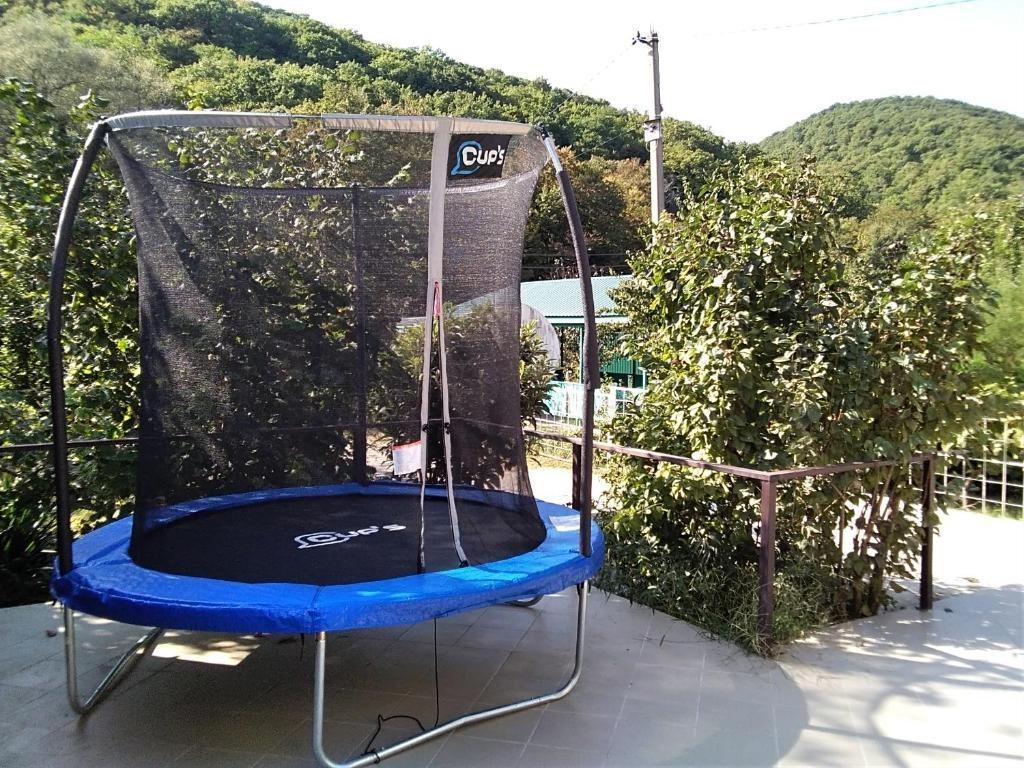 Фото Forest Club