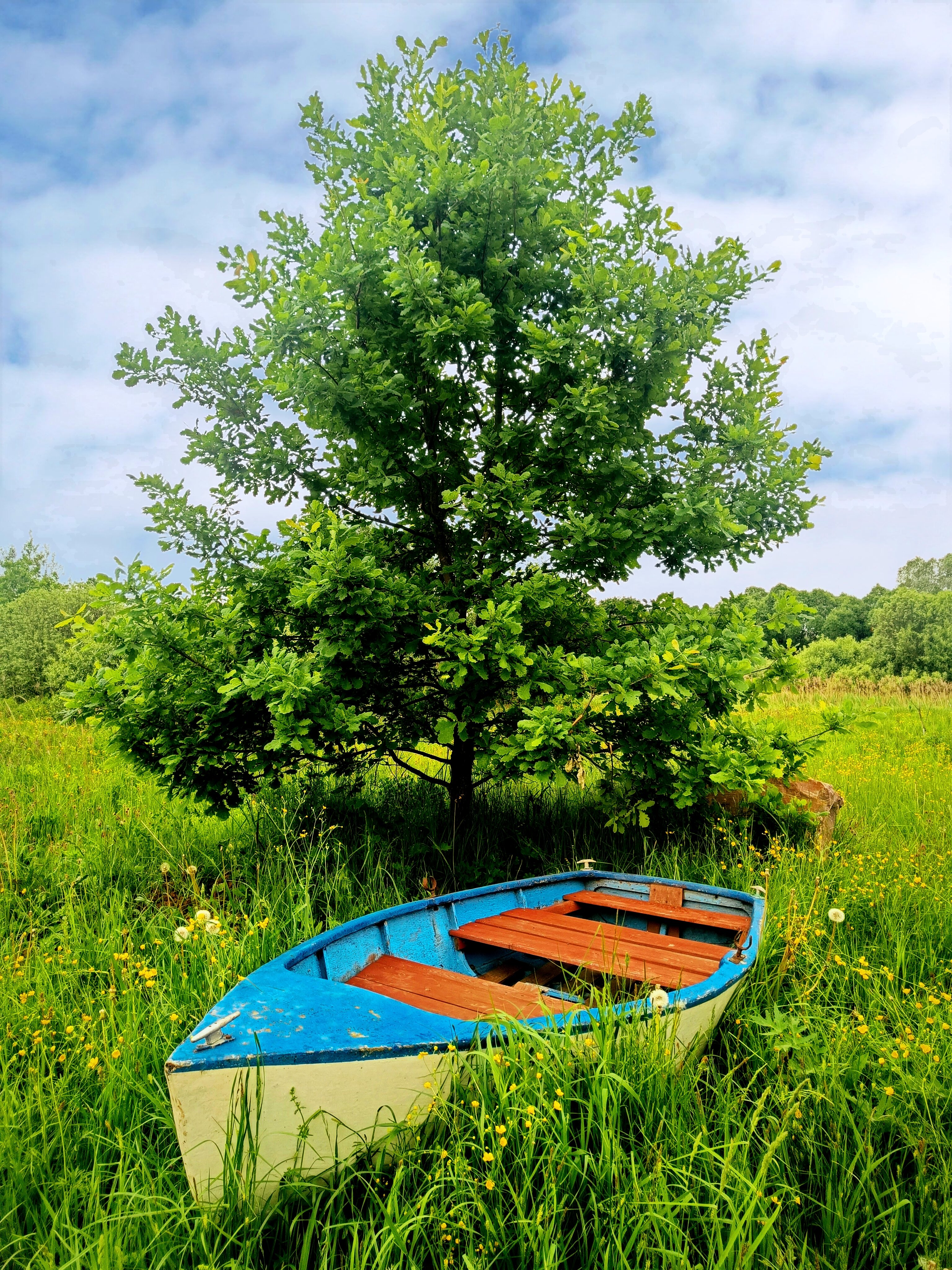 Фото Лаки Лейк