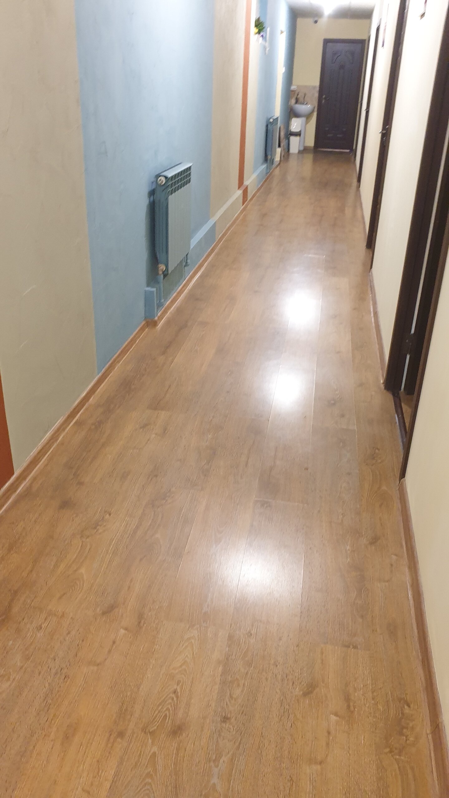 Фото Элвика