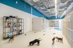 Petshop.ru (Leningrad Region, Vsevolozhckiy DIstrict, Sverdlovskoye gorodskoye poseleniye, promzona Utkina Zavod, 4к4), pet shop