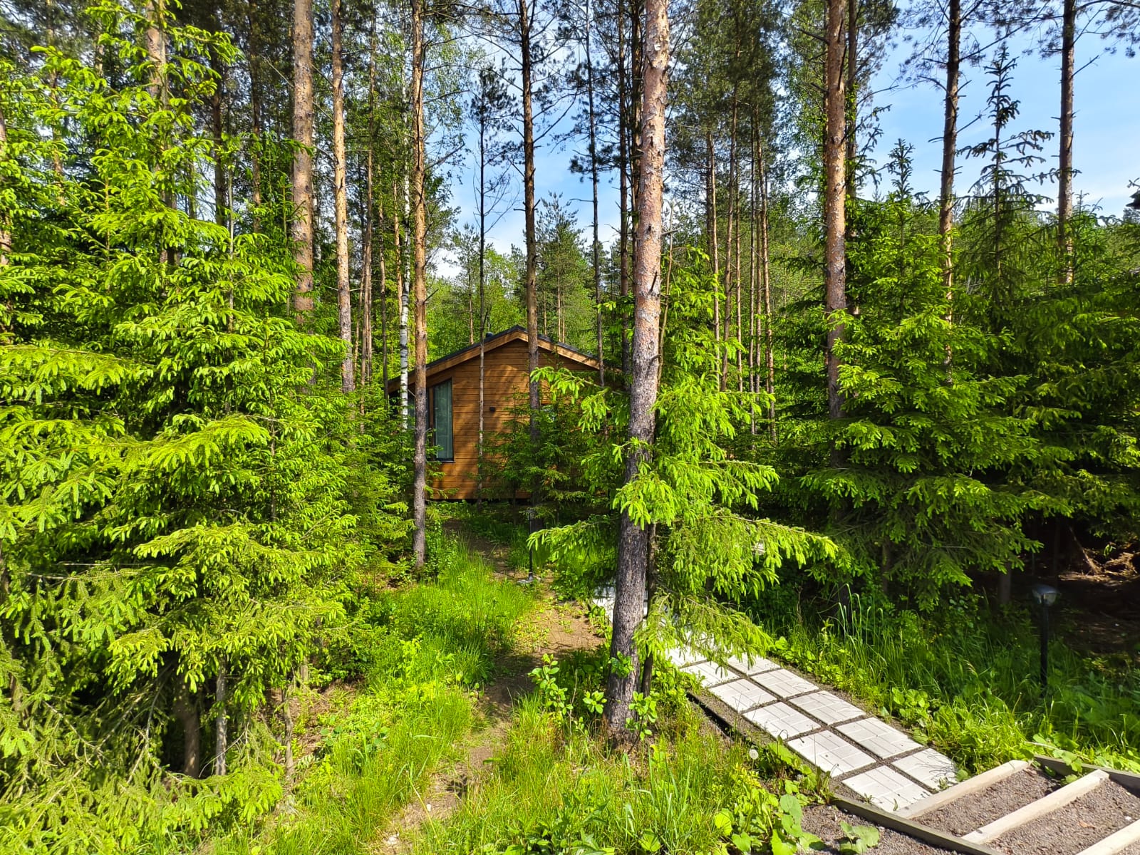 Фото Дача ForestHall