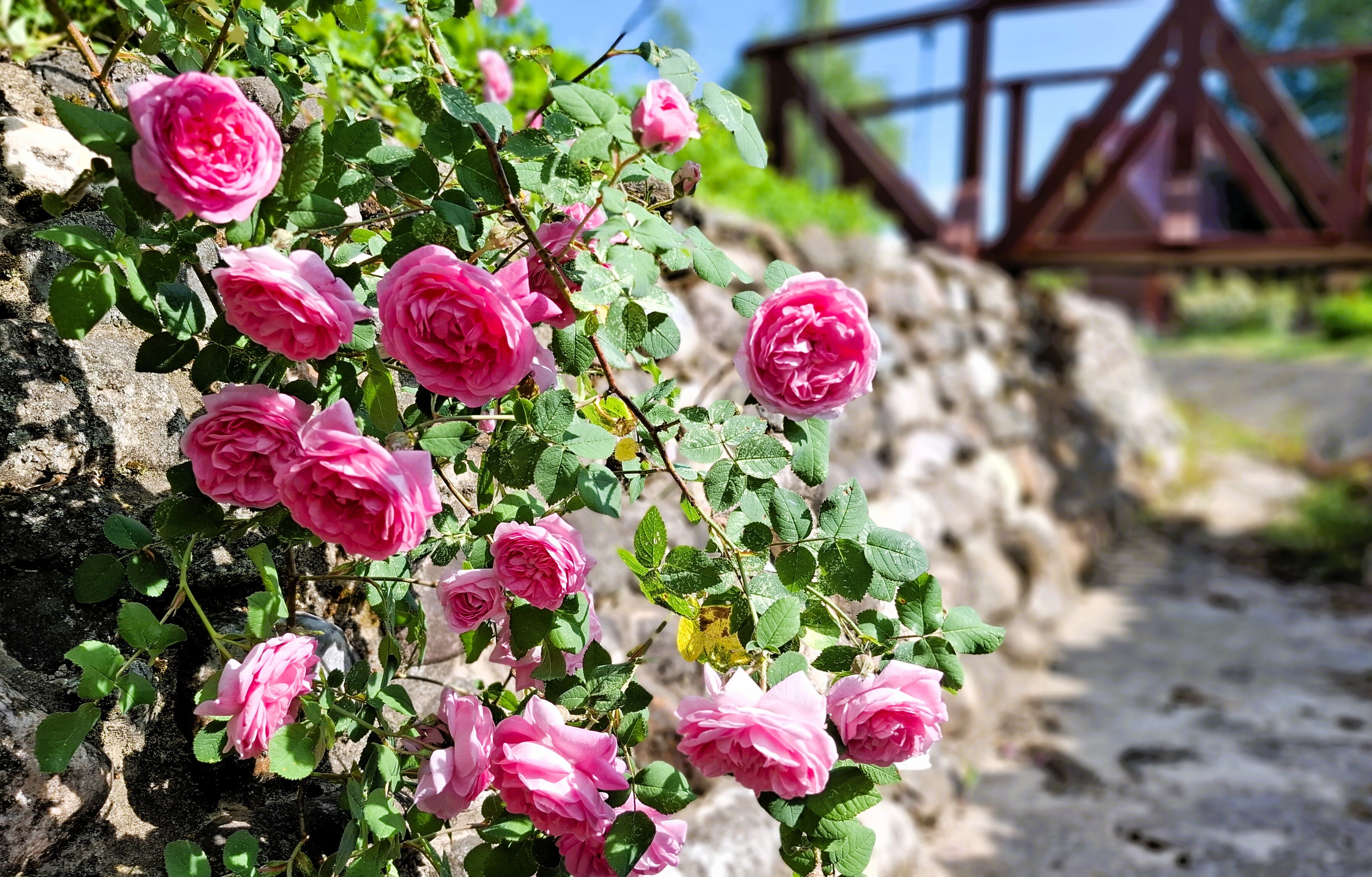 Фото Поместье Старый замок