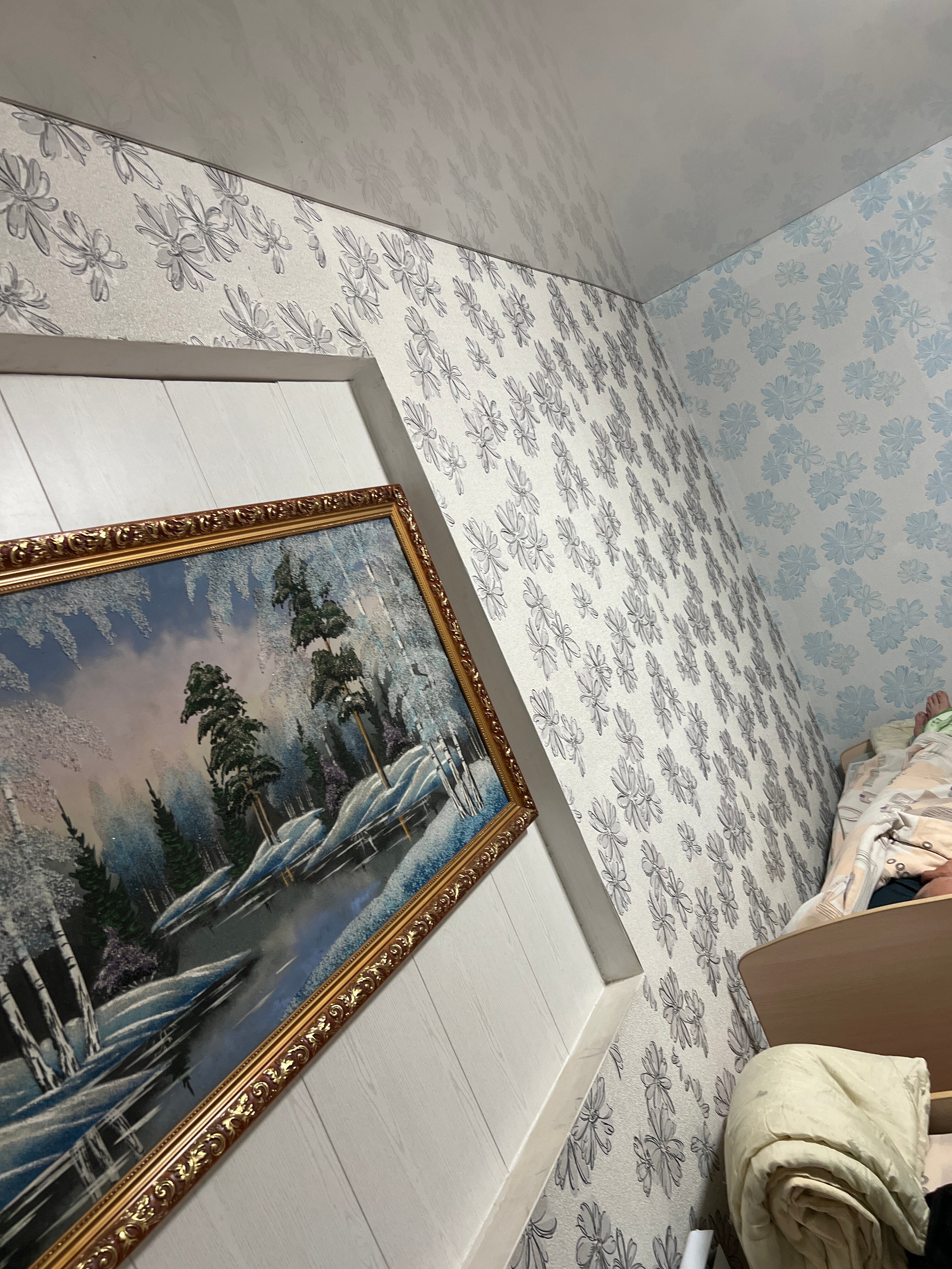 Фото Дикая Вишня