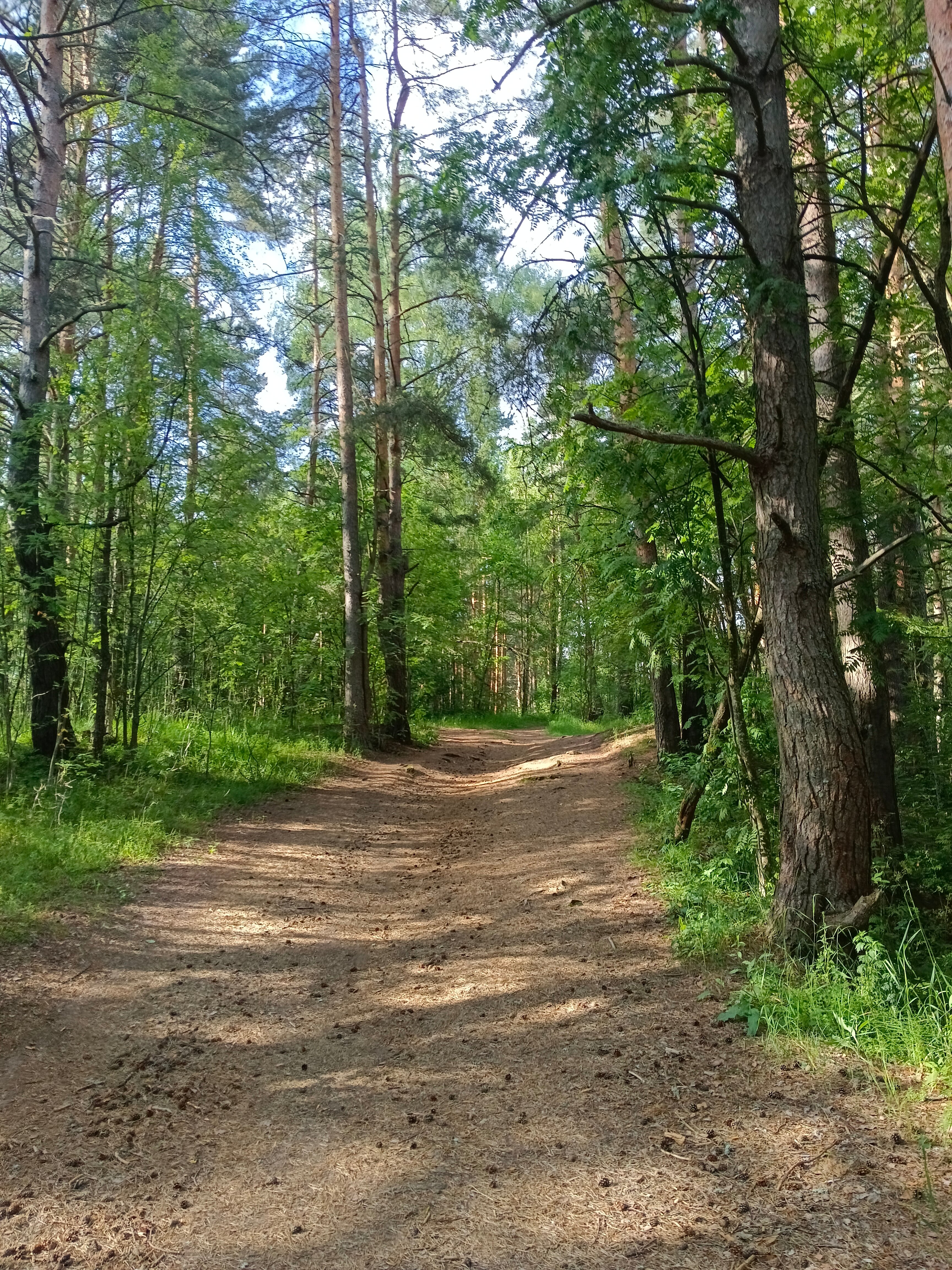 Фото Тимофеевская усадьба