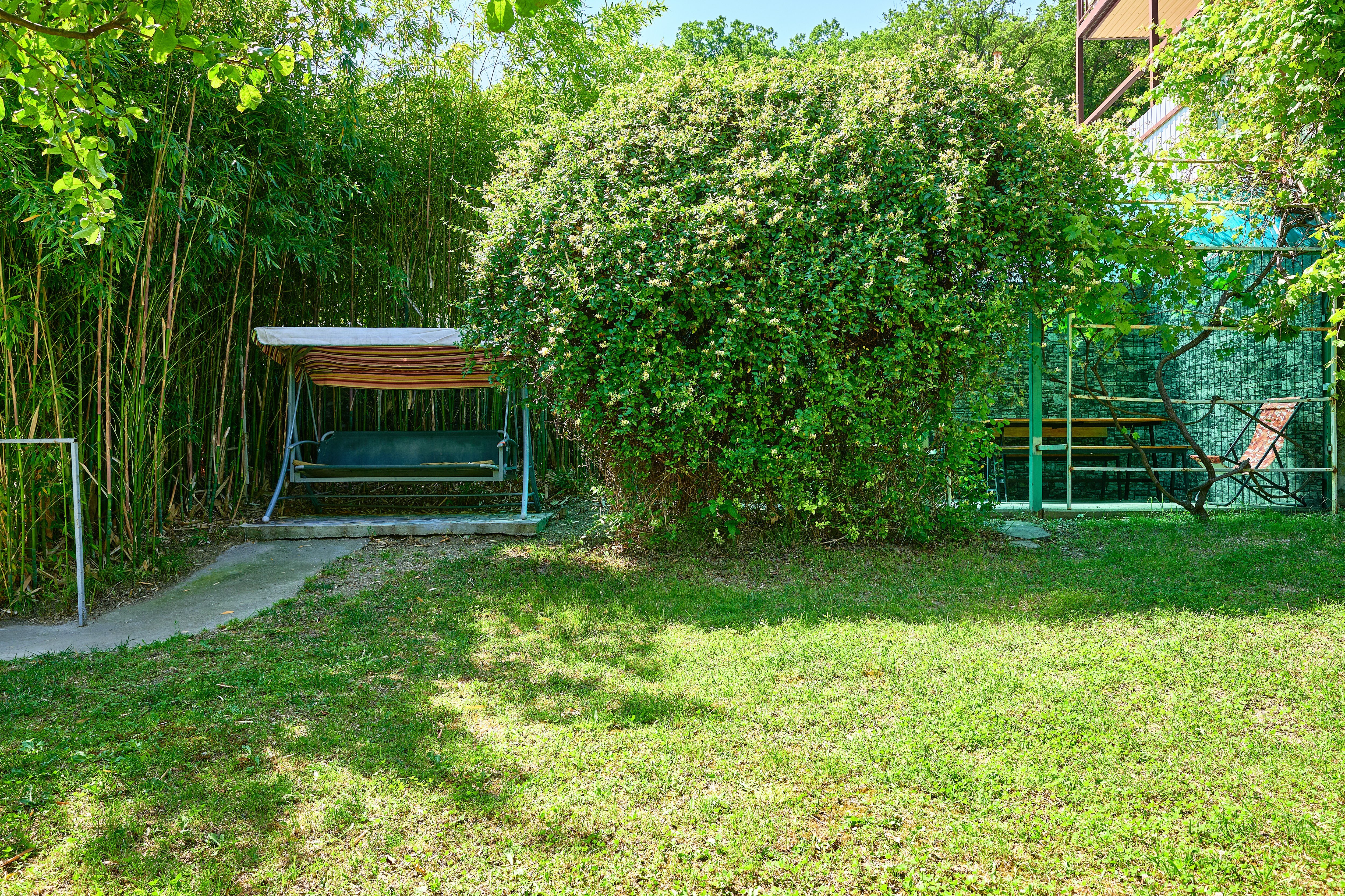 Фото Мечта - 3